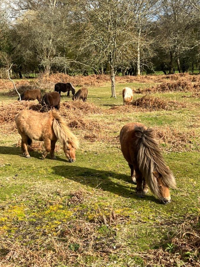 Newbridge  New Forest Hideaway- Self Catering Accommodation מראה חיצוני תמונה